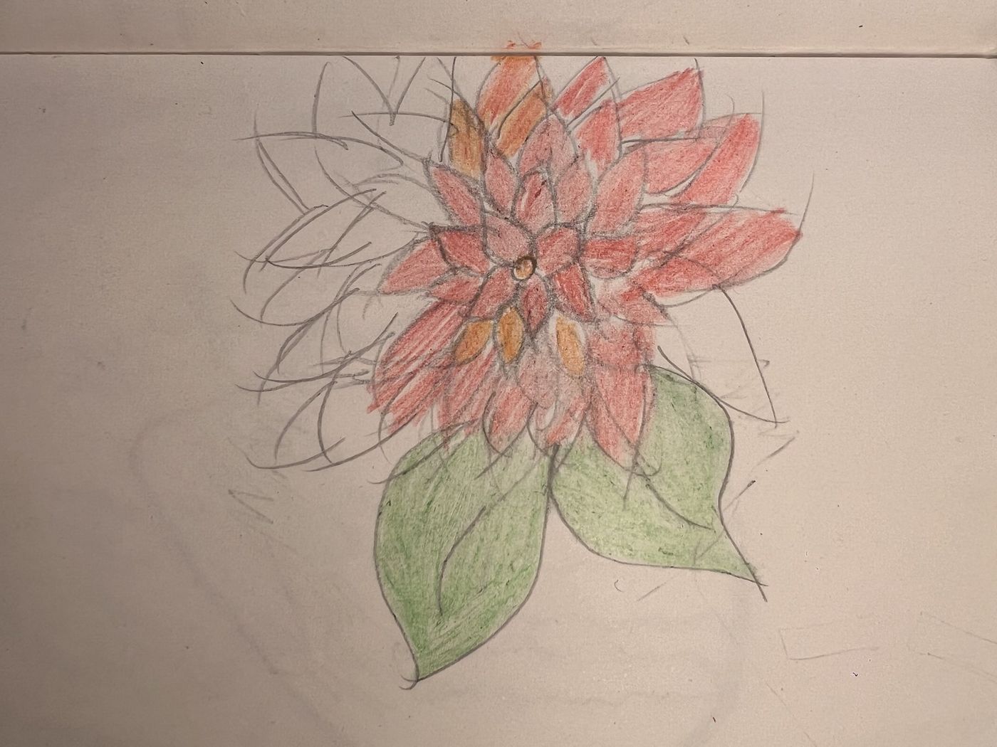 A pink and orange flower in coloured pencil with long green leaves
