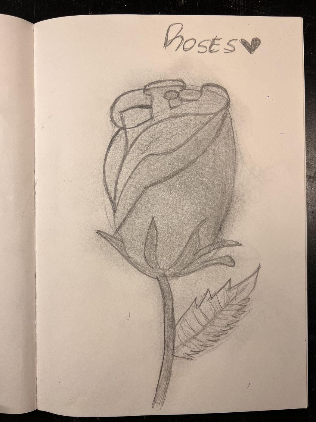 A pencil rose drawn across an open sketchbook, the word ROSES and a heart written at the top