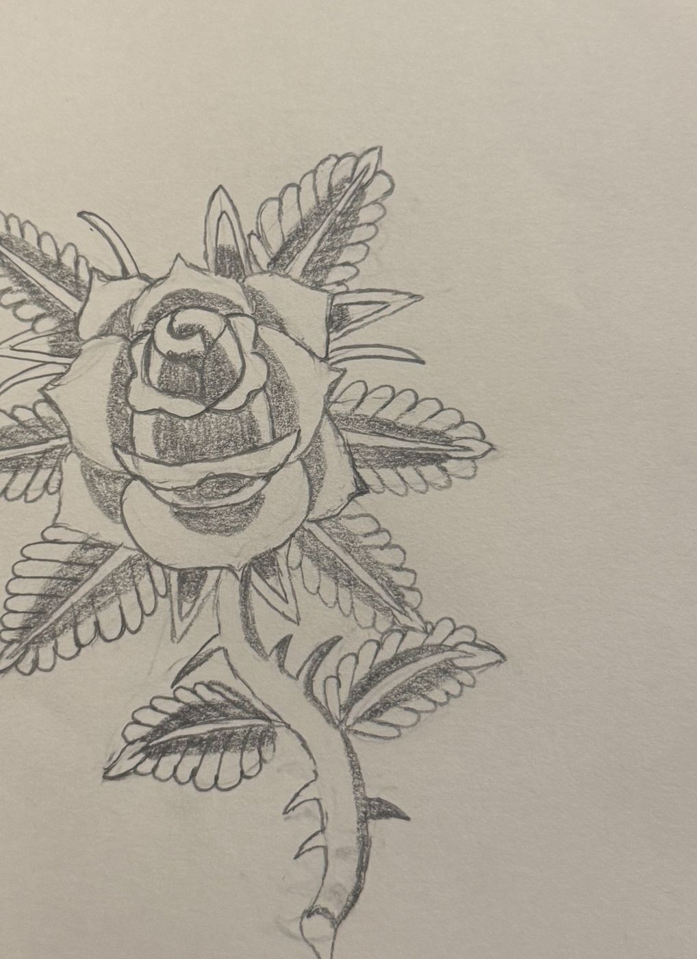A graphite rose with thorned stem and leaves, shaded close